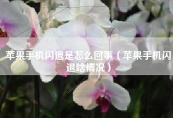 苹果手机闪退是怎么回事（苹果手机闪退啥情况）