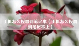 手机怎么投屏到笔记本（手机怎么投屏到笔记本上）