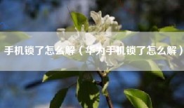 手机锁了怎么解（华为手机锁了怎么解）