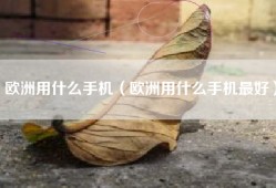 欧洲用什么手机（欧洲用什么手机最好）