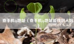 查手机ip地址（查手机ip地址能找到人吗）