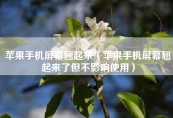 苹果手机屏幕翘起来（苹果手机屏幕翘起来了但不影响使用）