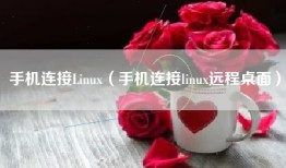 手机连接Linux（手机连接linux远程桌面）