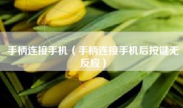 手柄连接手机（手柄连接手机后按键无反应）