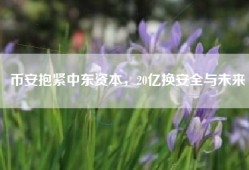 币安抱紧中东资本，20亿换安全与未来