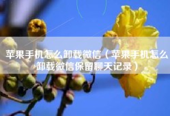 苹果手机怎么卸载微信（苹果手机怎么卸载微信保留聊天记录）