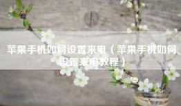 苹果手机如何设置来电（苹果手机如何设置来电教程）