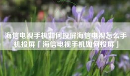 海信电视手机如何投屏海信电视怎么手机投屏「海信电视手机如何投屏」