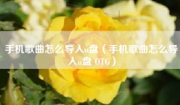 手机歌曲怎么导入u盘（手机歌曲怎么导入u盘 OTG）