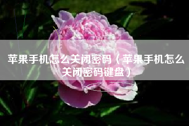 苹果手机怎么关闭密码（苹果手机怎么关闭密码键盘）