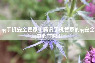 qq手机安全管家（腾讯手机管家的qq安全中心在哪）