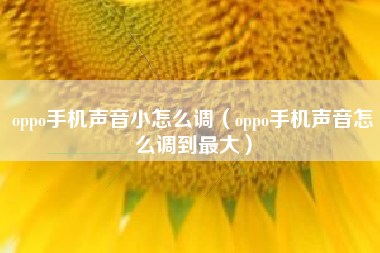 oppo手机声音小怎么调（oppo手机声音怎么调到最大）