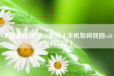 手机怎样找回wifi密码（手机如何找回wifi密码忘了）