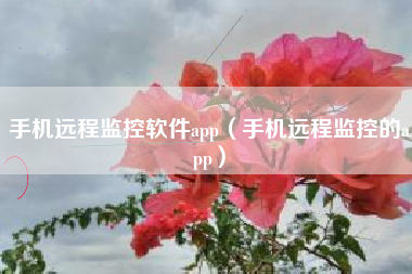 手机远程监控软件app（手机远程监控的app）