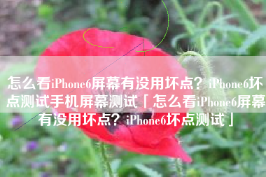 怎么看iPhone6屏幕有没用坏点？iPhone6坏点测试手机屏幕测试「怎么看iPhone6屏幕有没用坏点？iPhone6坏点测试」